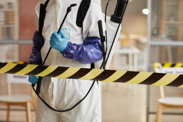 Professional Hoarding Cleanup technician working in Portsmouth, IA